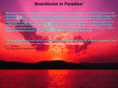 beachbuminparadise.com