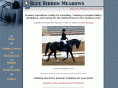 blueribbonmeadows.com