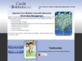 credit-solutions-llc.com