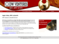 dwlocks.com