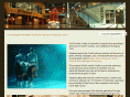 fineartscenter.net