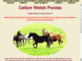 celtonwelshponies.com