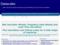 datascales.com
