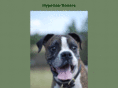 hyperionboxers.com