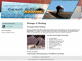 chicagoeliteroofing.com