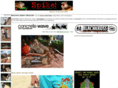 fitnessiguana.com