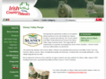 slaneyvalleylamb.com