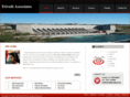 trivediassociates.com