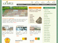 abimpex.com
