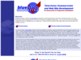 bluestatemarketing.com