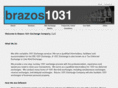 brazos1031exchange.com