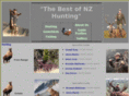 bestnzhunting.com