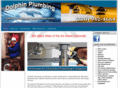 dolphinplumbing.com