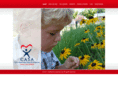 madisoncountycasa.org