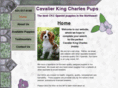 cavalierkingcharlespups.com