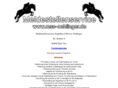 mss-oehlinger.de
