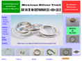 mexicansilvertrail.com