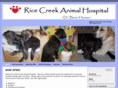 ricecreekvet.com