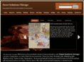 sweetsolutionschicago.com
