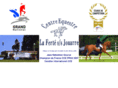 centre-equestre-de-la-ferte.com