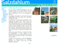 salzdahlum.com