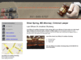 shurberglaw.com