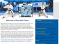 blackbeltkaratecenter.com