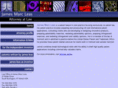 vermontpatentlawyer.com