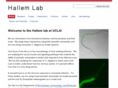 hallemlab.com
