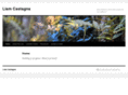 liamcastagna.com