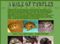 abaleofturtles.com