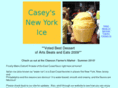 caseysice.com