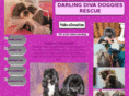 darlingdivadoggies.com