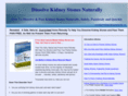 dissolvekidneystonesnaturally.com