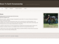 downtoearthhorsemanship.com