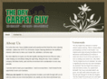 drycarpetguy.com