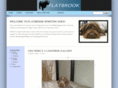 shootthedog.com