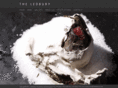 theledbury.com