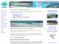 bahamasaviator.com