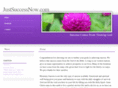 justsuccessnow.net