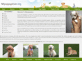 nflpuppyplace.org