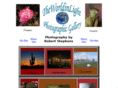 theworldinlight.com