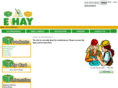 ehayllc.com