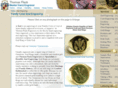 heraldicseal-rings.com