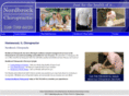 nordbrockchiropractichomewood.com