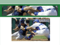 springtrainingticketsnetwork.com