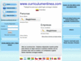 curriculumenlinea.com