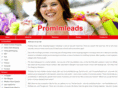 promlmleads.net
