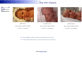 irishtriplets.com