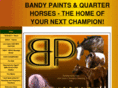 bandypaintsandquarterhorses.com